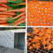 Промышленная машина для просушки морковей сушильщика еды горячего воздуха обезвоживателя редиски теплового насоса