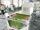 Отладка засыхания оборудования микроволны 20 Кв стерилизуя для трав и цветков чая