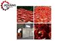 Система воздушной сушки томата вишни горячего воздуха сушильщика теплового насоса плода Ss промышленная горячая